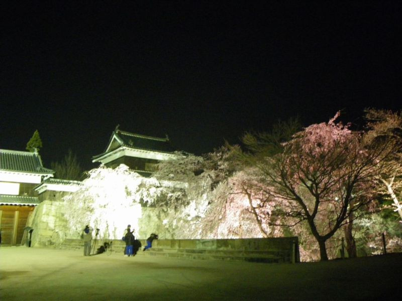 上田城跡公園ライトアップ