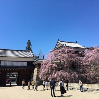 上田城千本桜まつり