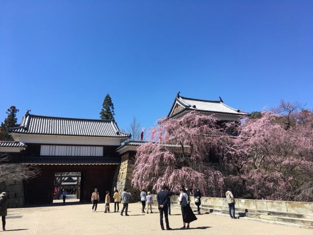 上田城千本桜まつり