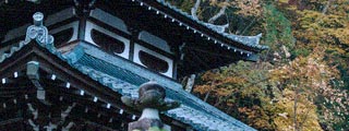 観る