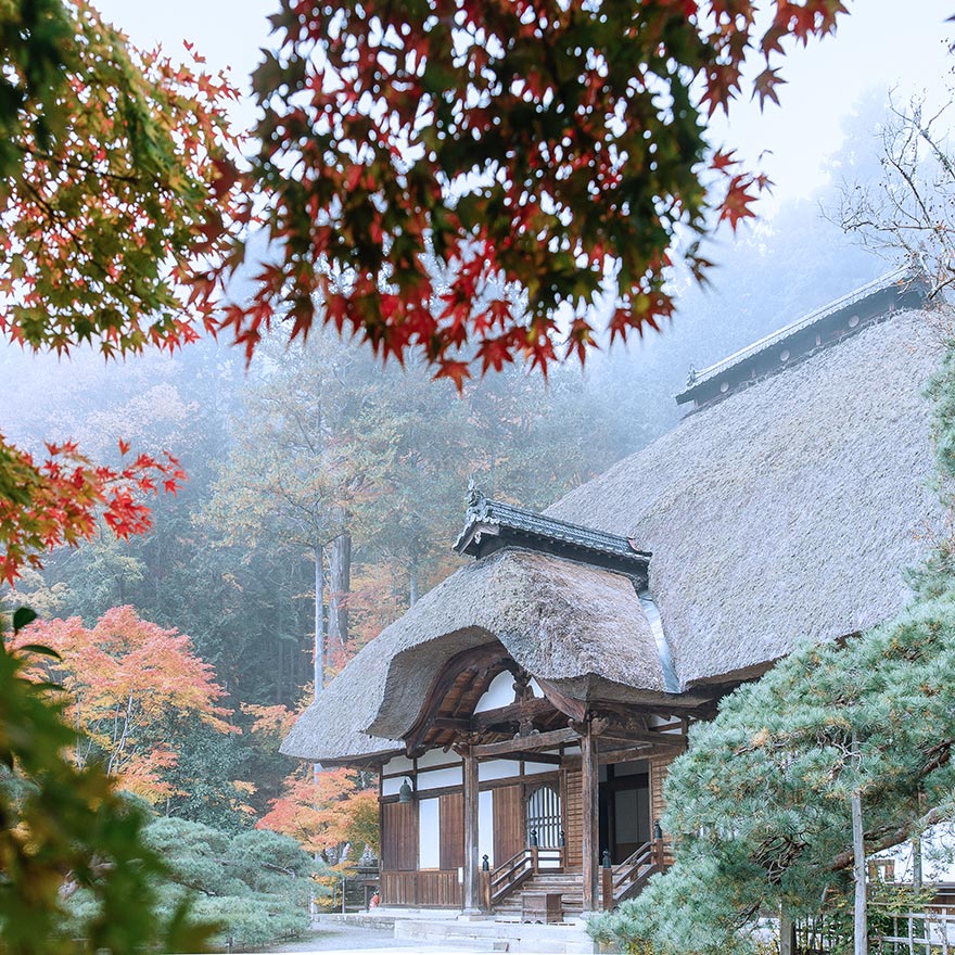 楽天市場】【祝 善光寺御開帳】善光寺御公許の品天然原料・香料