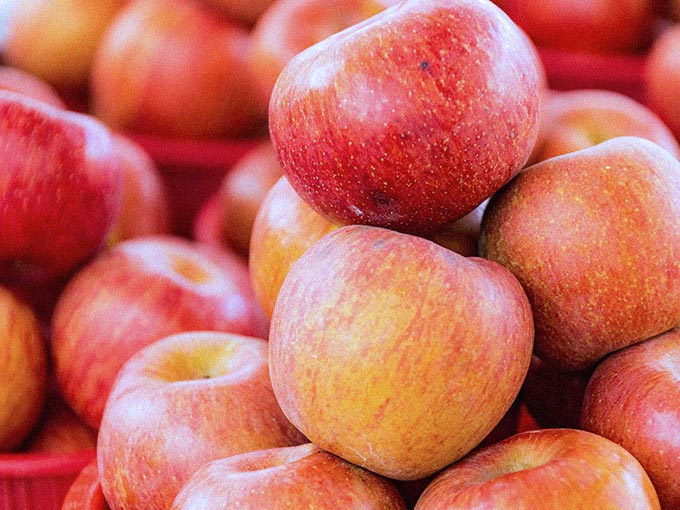 りんご（ふじ）