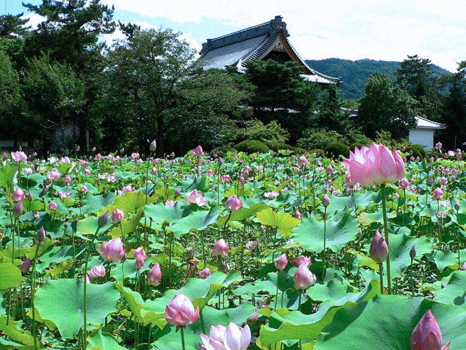 信濃国分寺