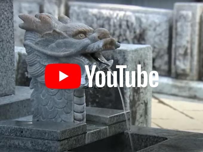 BS-TBS 太陽と大地を巡る旅