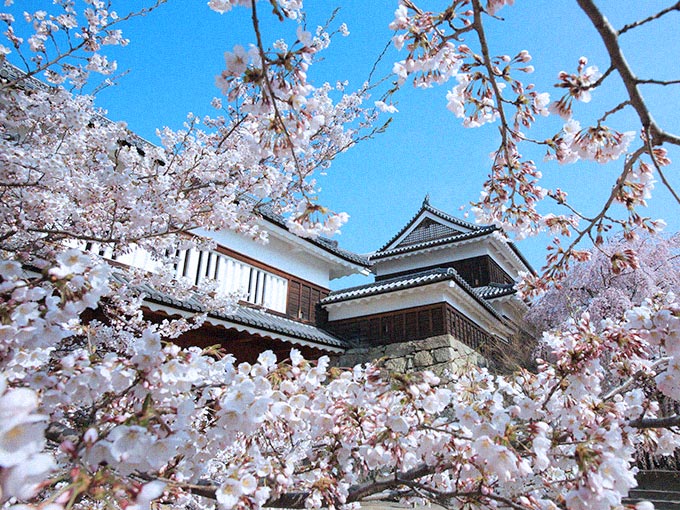 上田城跡公園