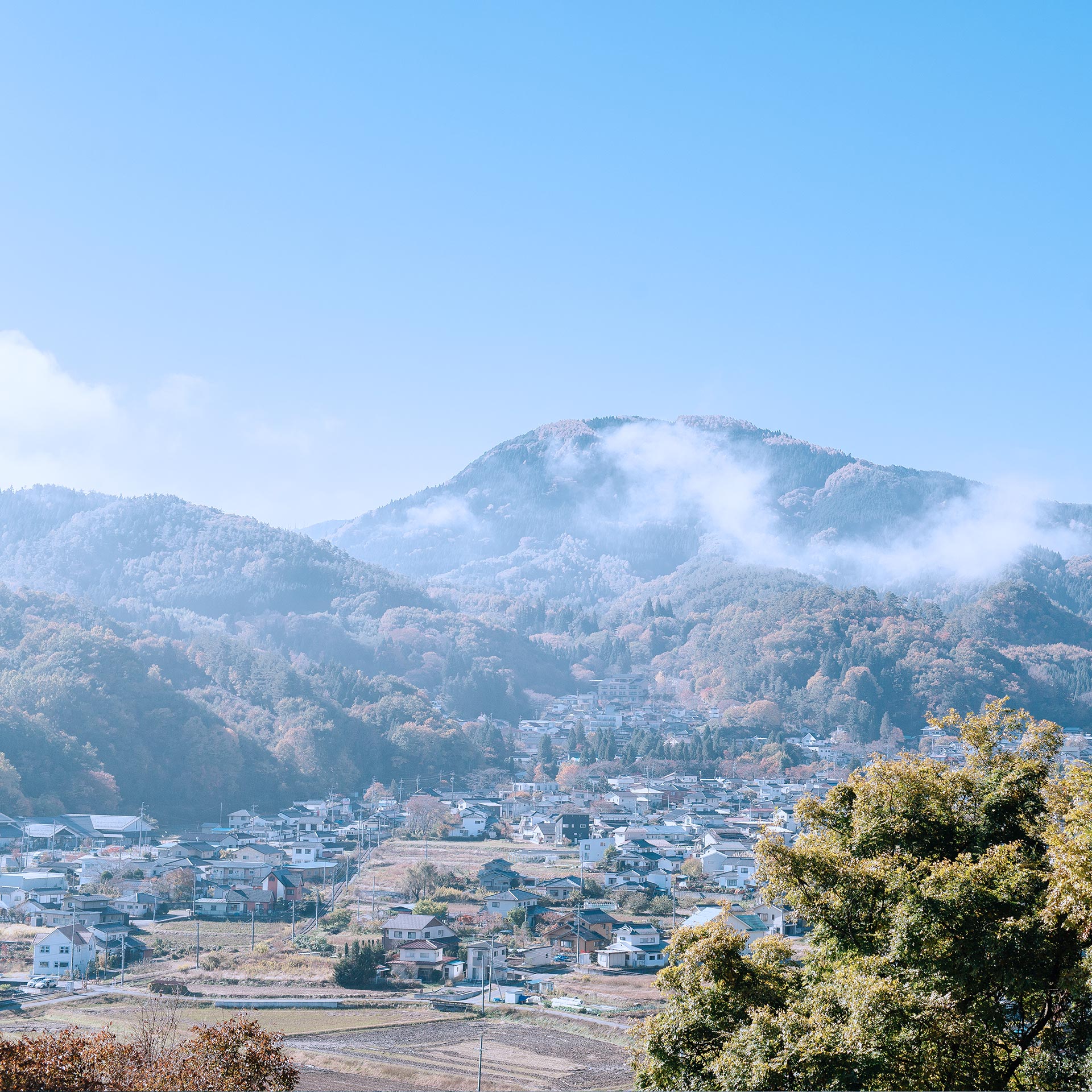 季節のイベントカレンダー