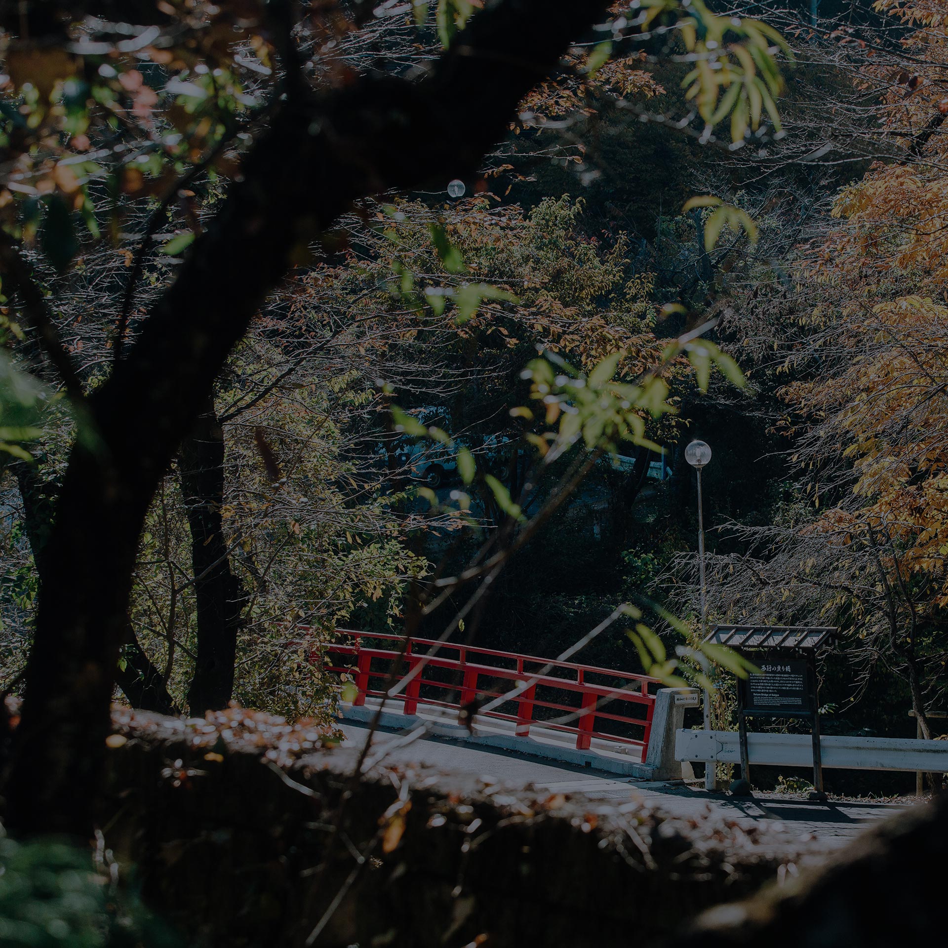 知る